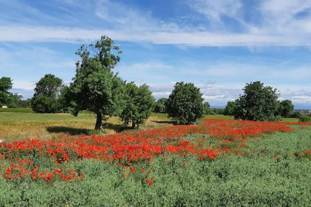 Cal Belló Casa rural Lleida