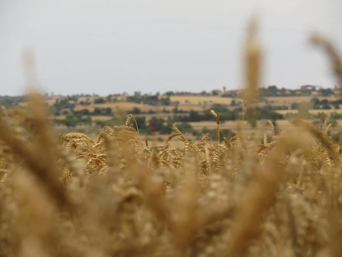 Cal Bello Casa Rural Λιέιδα 0*,